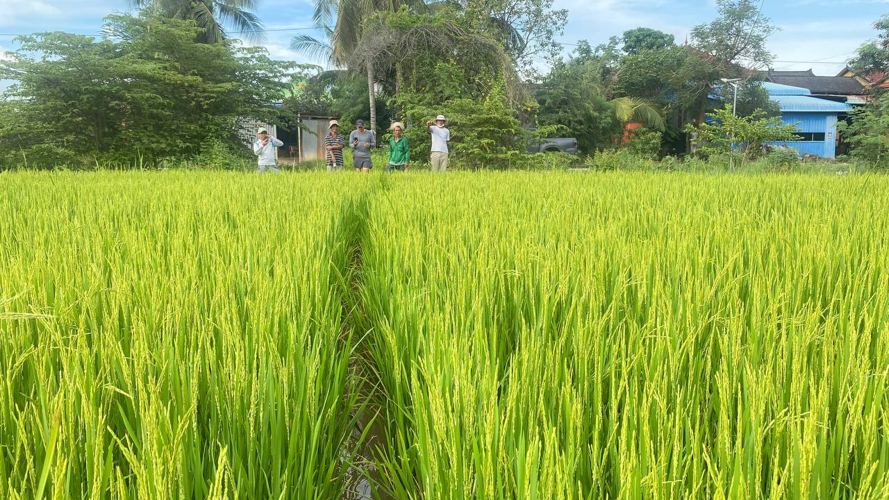 ជីកសិកម្មធម្មជាតិ ផលិតដោយកូនខ្មែរ