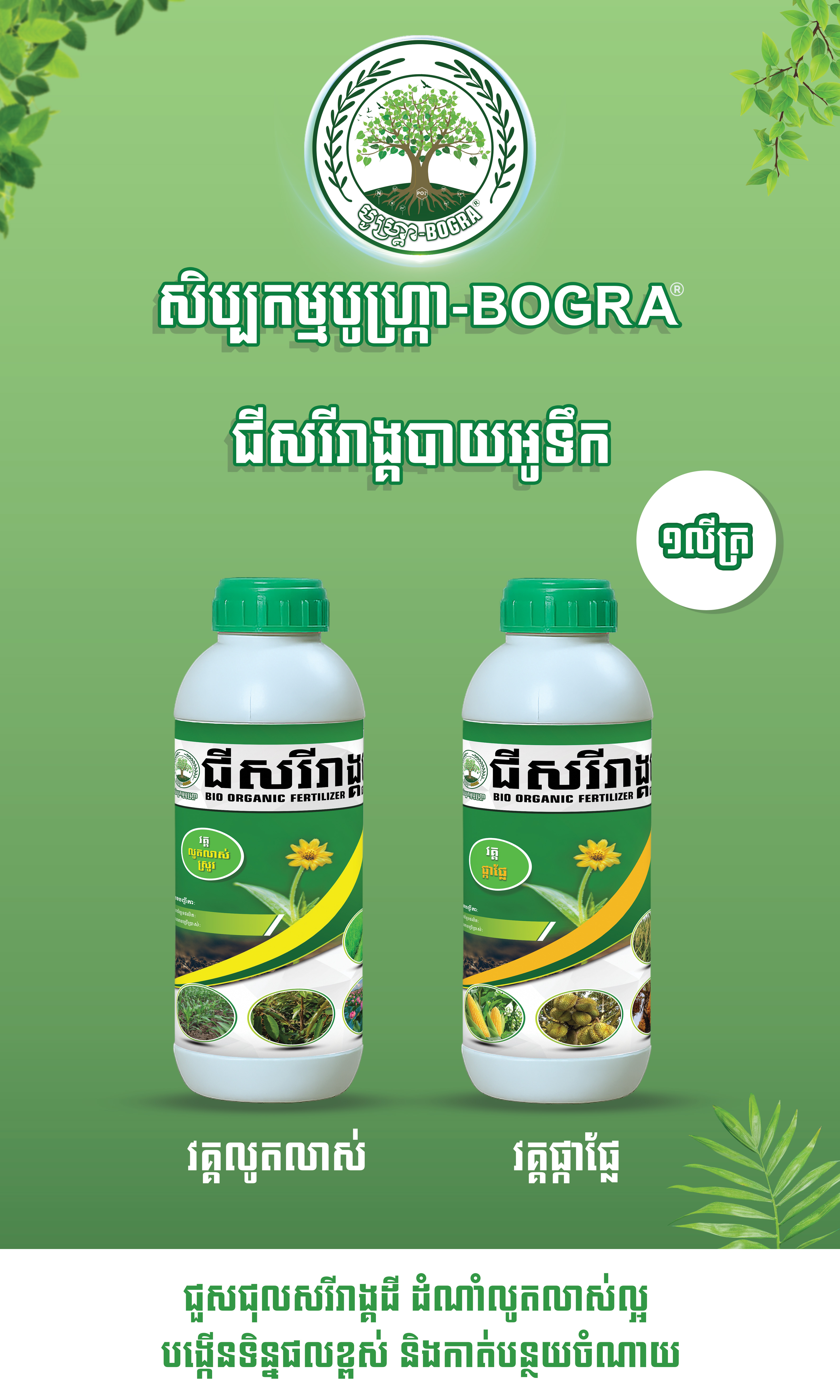 ជីសរីរាងបាយអូទឹក វគ្គជំនួយការលូតលាស់